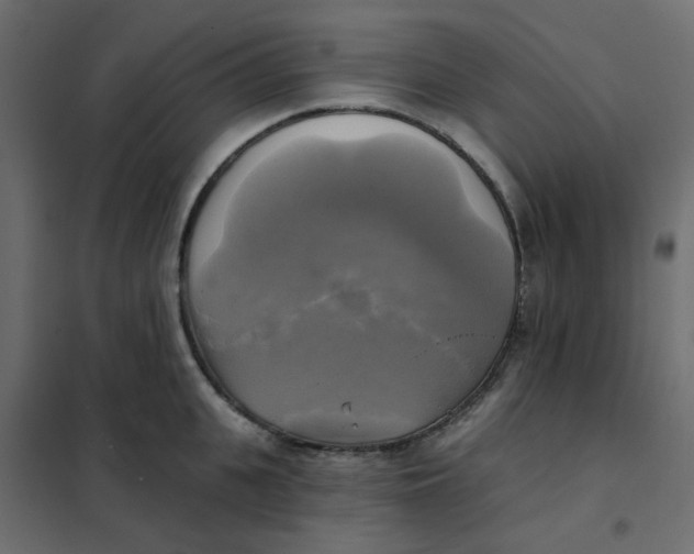 X0000102020951200808081745