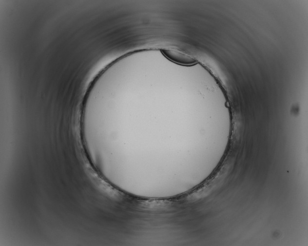 X0000102020952200808081745
