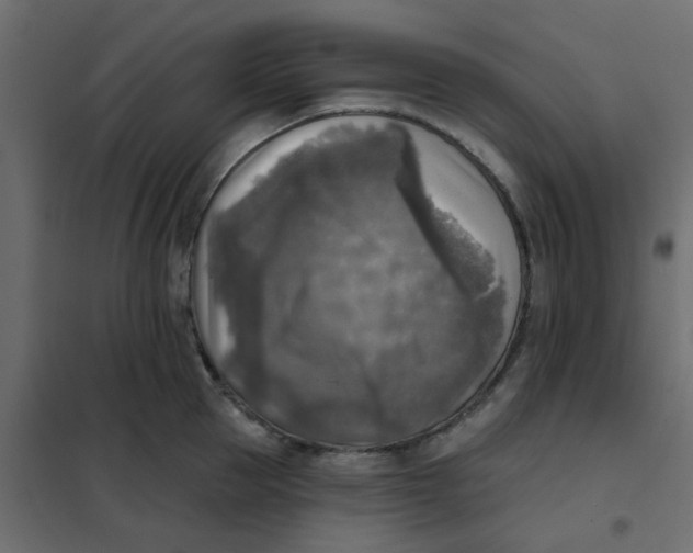 X0000102020953200808081745