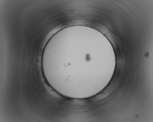 X0000102020954200808081745