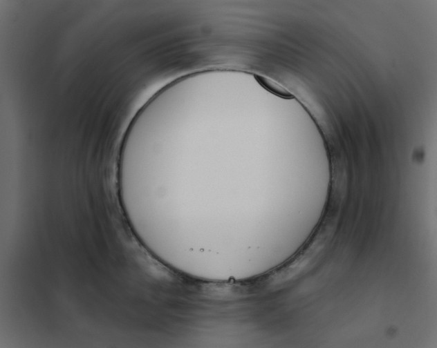 X0000102020956200808081745