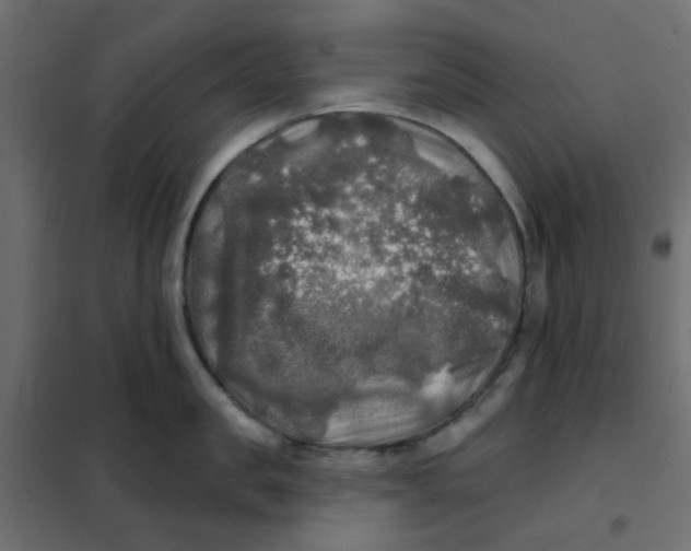 X0000102020957200808081745