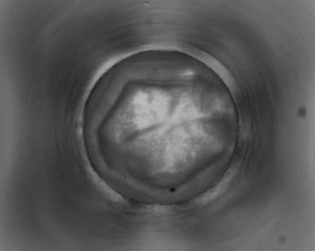 X0000102020958200808081745