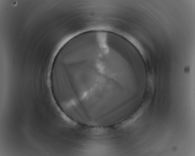 X0000102020959200808081745