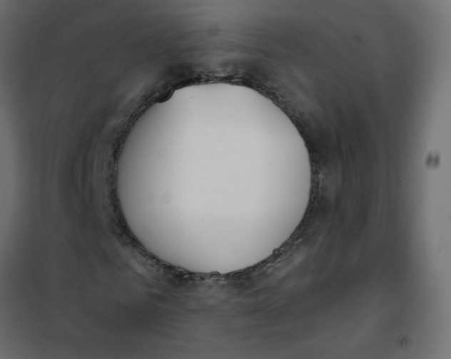 X0000102020961200808081744