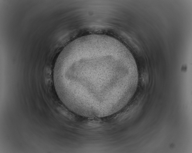 X0000102020964200808081744