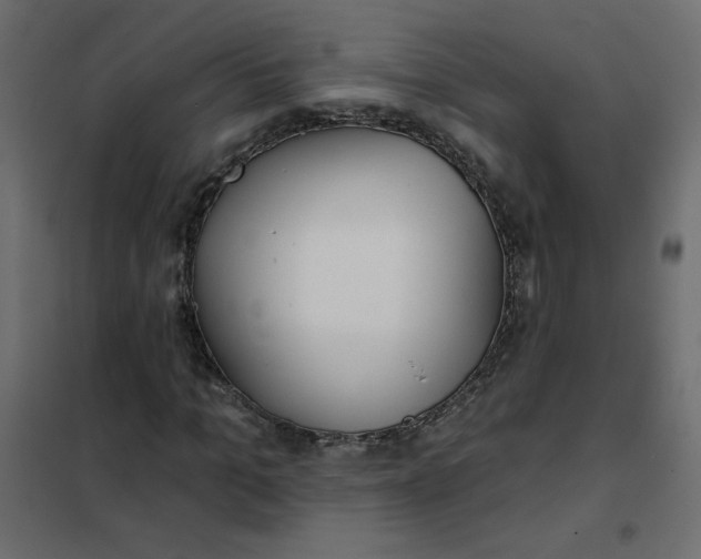 X0000102020965200808081744