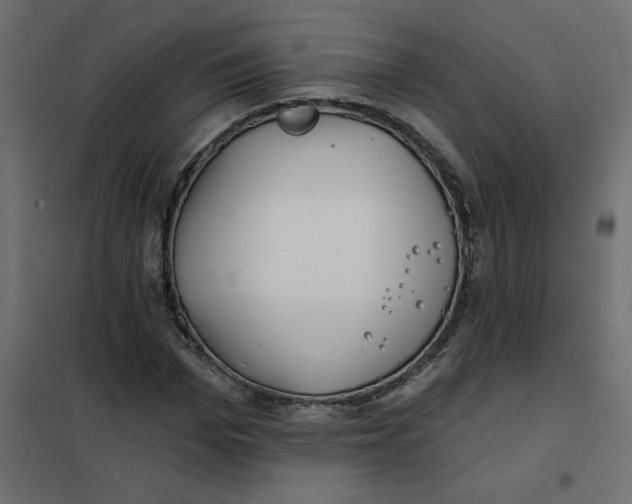 X0000102020969200808081744