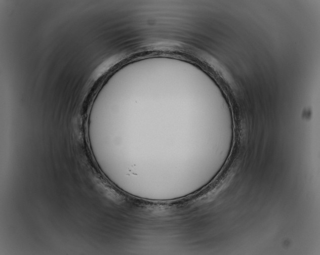 X0000102020970200808081744