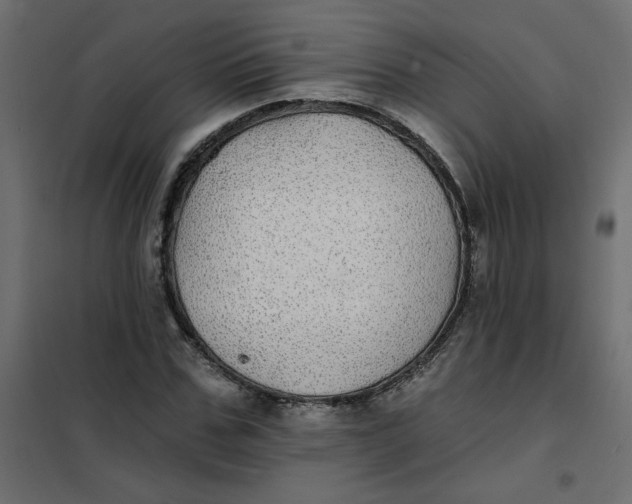 X0000102020971200808081744