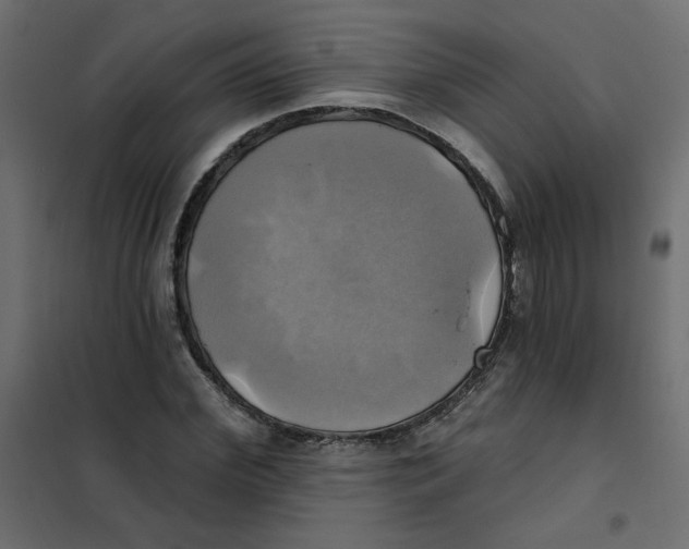 X0000102020972200808081744