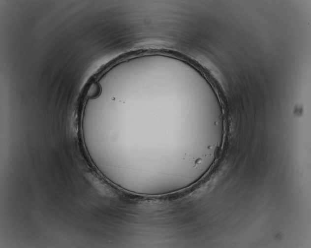X0000102020973200808081744