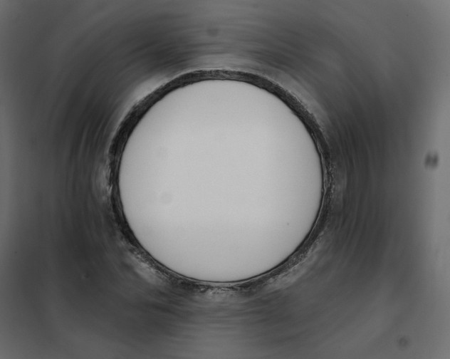 X0000102020974200808081744