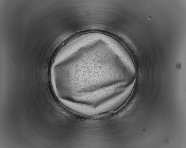 X0000102020977200808081744