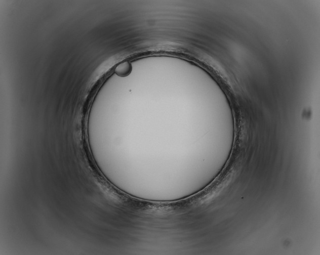 X0000102020978200808081744