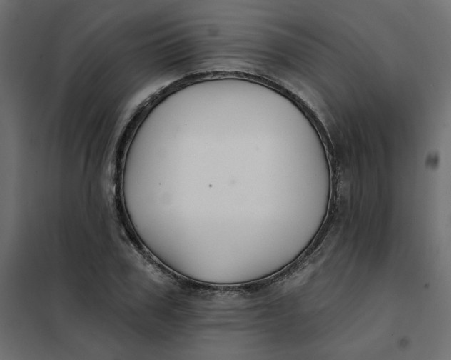 X0000102020979200808081744