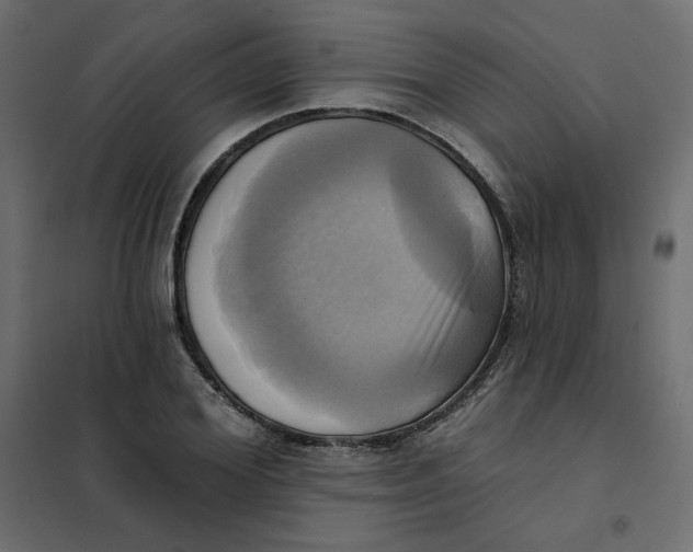 X0000102020980200808081744