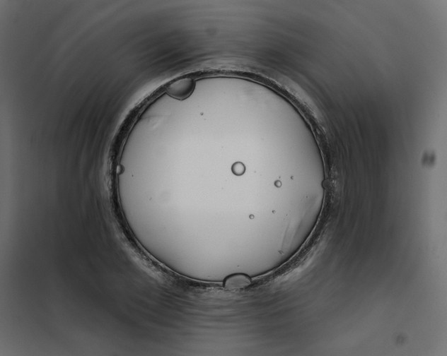 X0000102020981200808081744