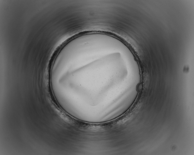 X0000102020982200808081744