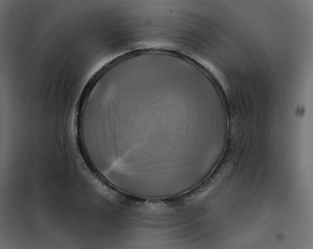X0000102020983200808081744