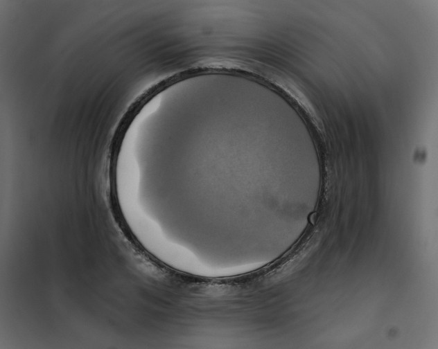 X0000102020984200808081744