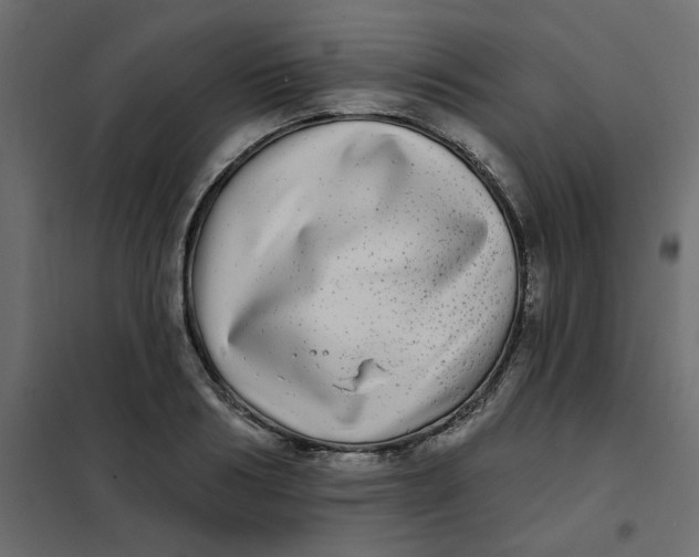X0000102020986200808081744