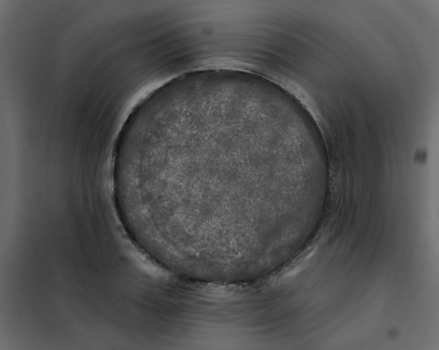 X0000102020987200808081744
