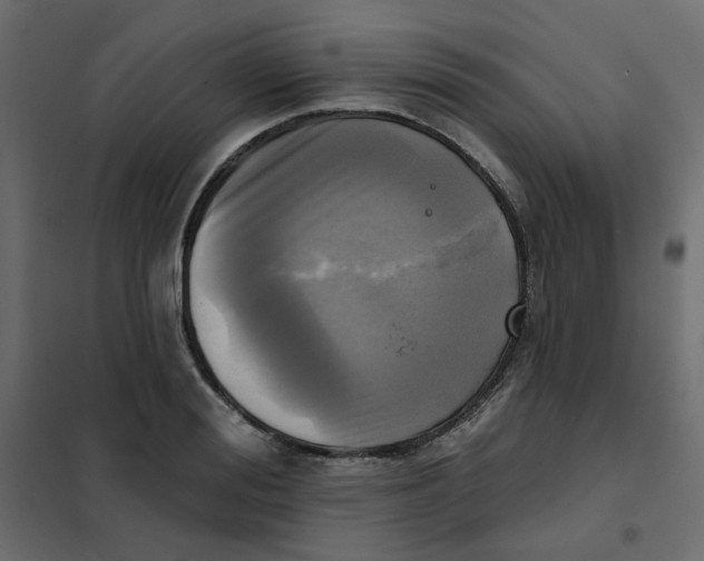 X0000102020988200808081744