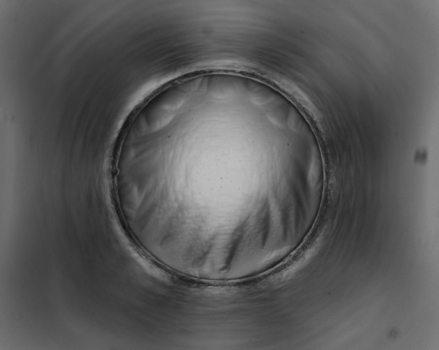 X0000102020989200808081744