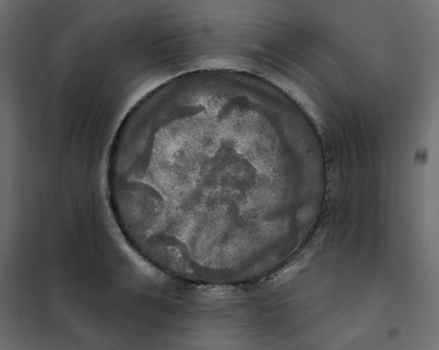 X0000102020991200808081744