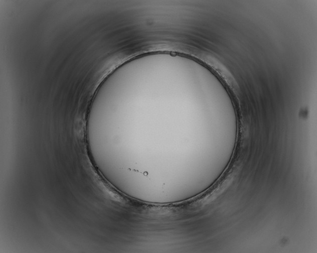 X0000102020993200808081744