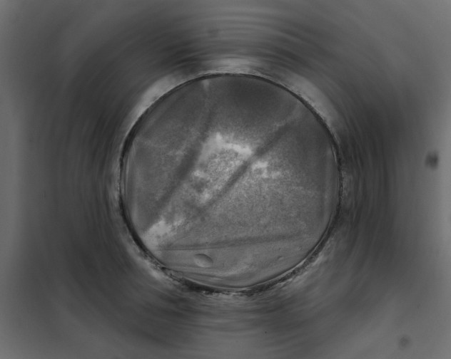 X0000102020994200808081744