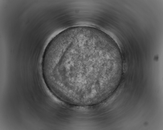 X0000102020995200808081744