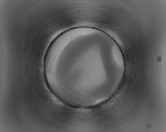 X0000102020996200808081744