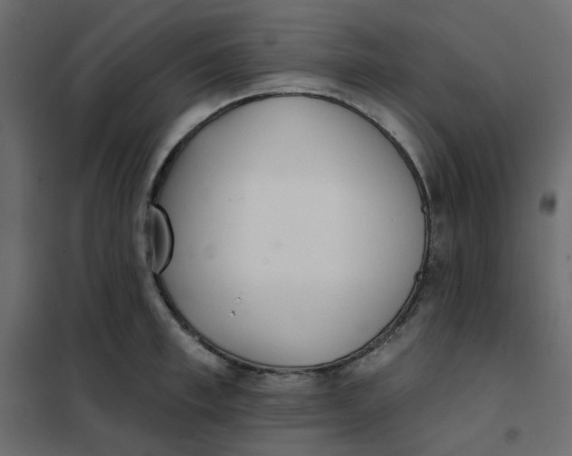 X0000102020997200808081744