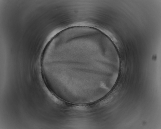 X0000102020998200808081744