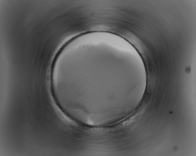 X0000102021000200808081744