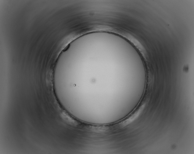 X0000102021001200808081744