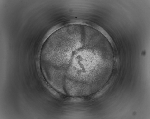 X0000102021002200808081744