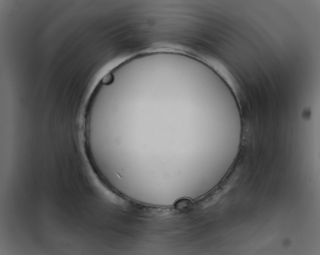 X0000102021003200808081744