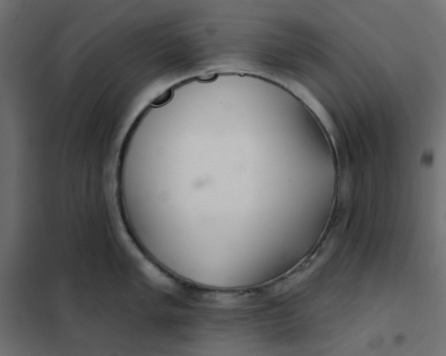 X0000102021005200808081744