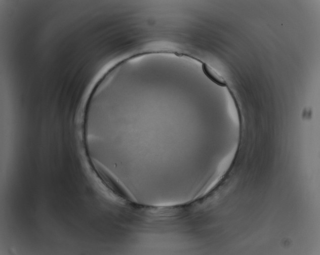 X0000102021008200808081744