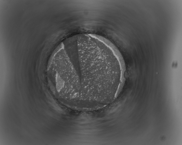 X0000102021009200808081743