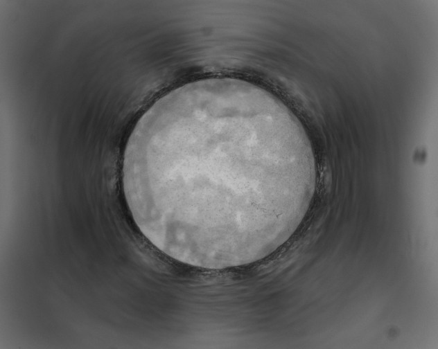 X0000102021012200808081743