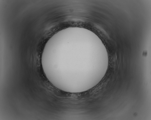 X0000102021013200808081743