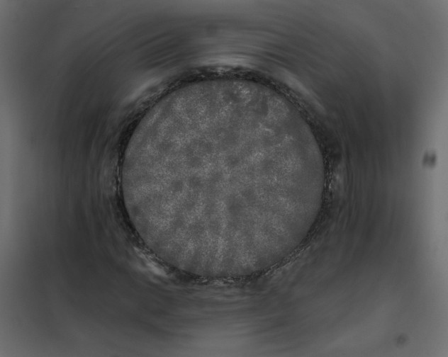 X0000102021014200808081743