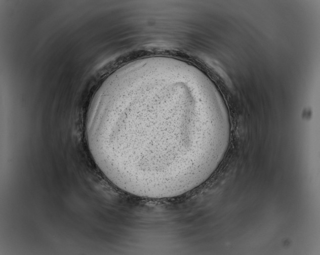 X0000102021015200808081743