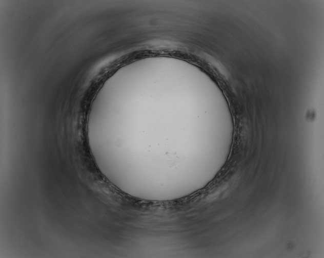X0000102021016200808081743
