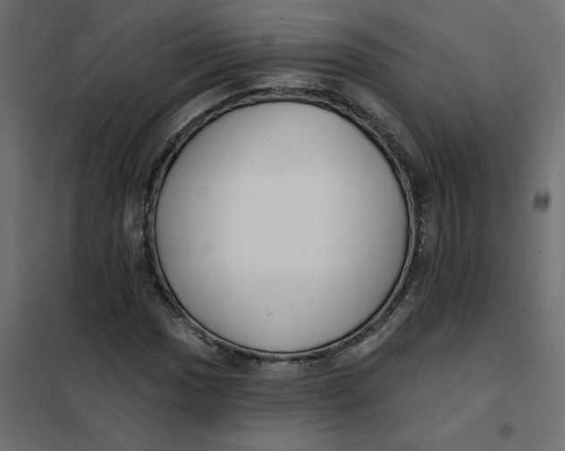 X0000102021017200808081743