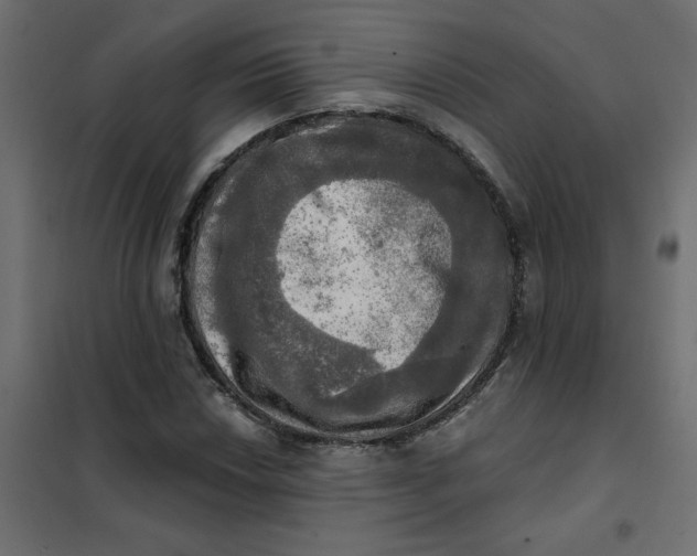 X0000102021018200808081743